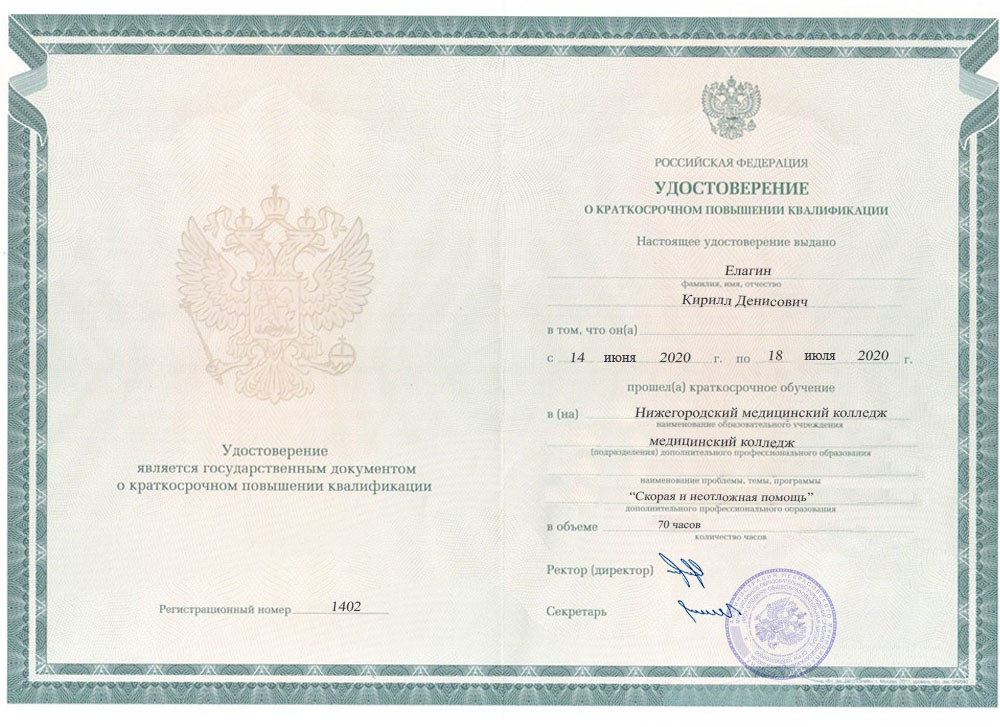 документы об образовании Кирилл Денисович Елагин